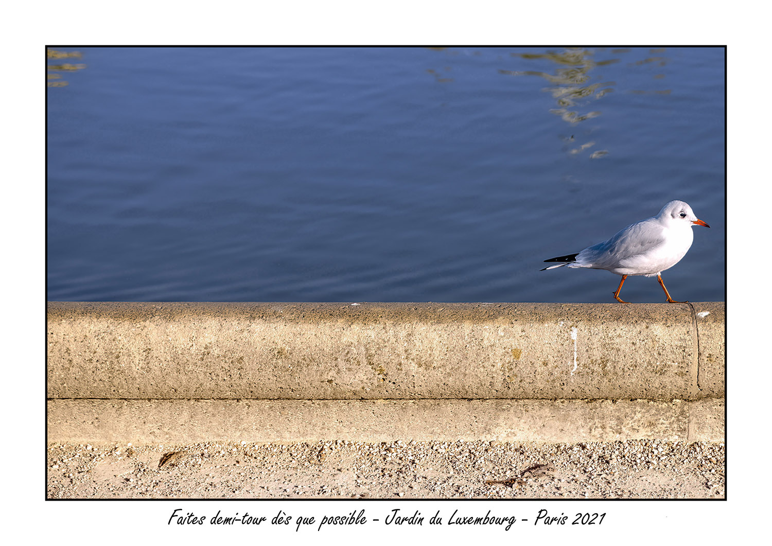  Jardin du Luxembourg